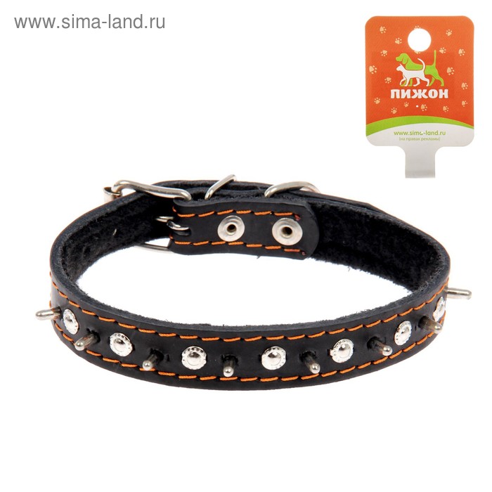 Ошейник кожаный на синтепоне "Ёж", 45.5 х 2 см, ОШ 25-35 см, микс цветов и видов
Ошейник кожаный на синтепоне "Ёж", 45.5 х 2 см, ОШ 25-35 см, микс цветов и видов