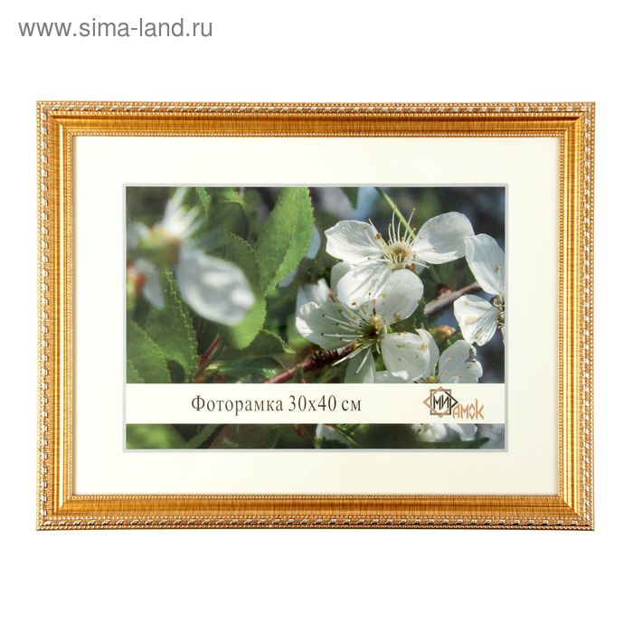 Фоторамка 291-3010-1 (30х40 см)
Фоторамка 291-3010-1 (30х40 см)