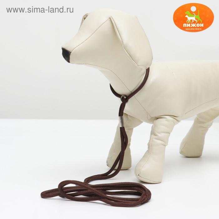 Ринговка, удавка до 45 см, поводок 100 см, коричневая
Ринговка, удавка до 45 см, поводок 100 см, коричневая