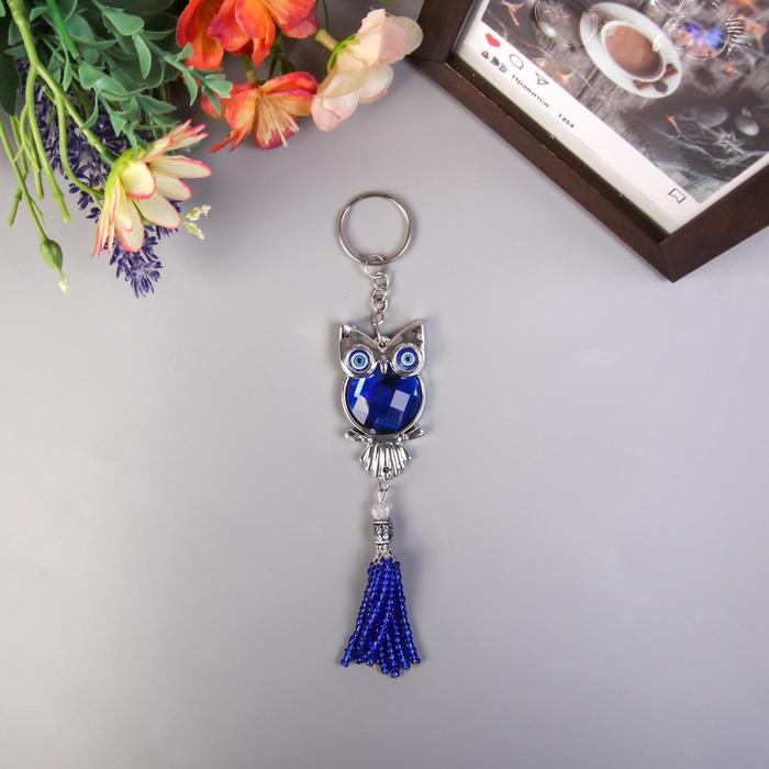 Брелок глазки "Сова со стразой" с кисточкой 12,5х1х3 см
Брелок глазки "Сова со стразой" с кисточкой 12,5х1х3 см