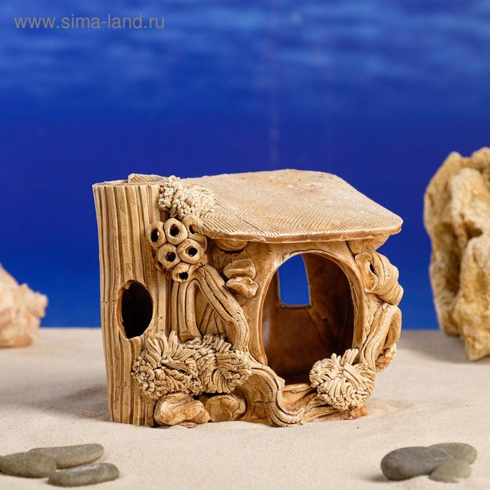 Декорация для аквариума "Черепашник", 10.5 х13.5х12 см
Декорация для аквариума "Черепашник", 10.5 х13.5х12 см