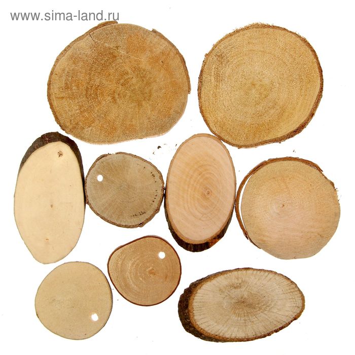 Набор природного декора "Лесная сказка"
Набор природного декора "Лесная сказка"