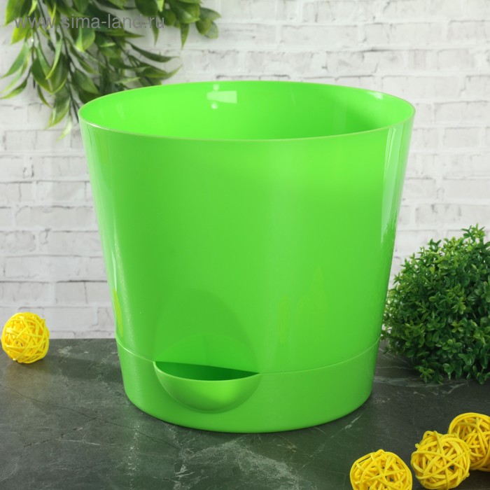 Кашпо с прикорневым поливом «Ника», 2,7 л, цвет ярко-зелёный
Кашпо с прикорневым поливом «Ника», 2,7 л, цвет ярко-зелёный
