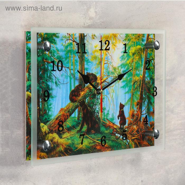 фото Часы настенные, серия: животный мир, "медведи в лесу", 20х30 см сюжет