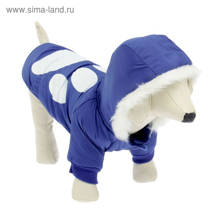 Куртка с капюшоном и мехом, размер L (ОШ 32, ОГ 44, ДС 26 см), синяя
Куртка с капюшоном и мехом, размер L (ОШ 32, ОГ 44, ДС 26 см), синяя