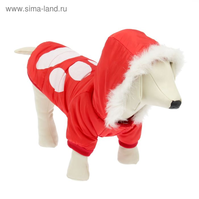 Куртка с капюшоном и мехом, размер М (ОШ 28, ОГ 40, ДС 26 см), красная
Куртка с капюшоном и мехом, размер М (ОШ 28, ОГ 40, ДС 26 см), красная