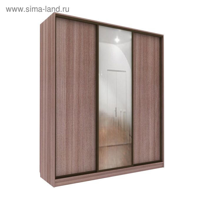 Шкаф-купе Практичный 1 зеркало Ясень Шимо Темный 
Шкаф-купе Практичный 1 зеркало Ясень Шимо Темный