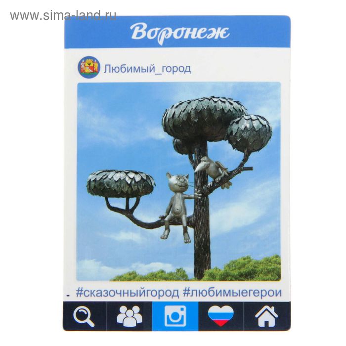 Магнит «Воронеж»
Магнит «Воронеж»