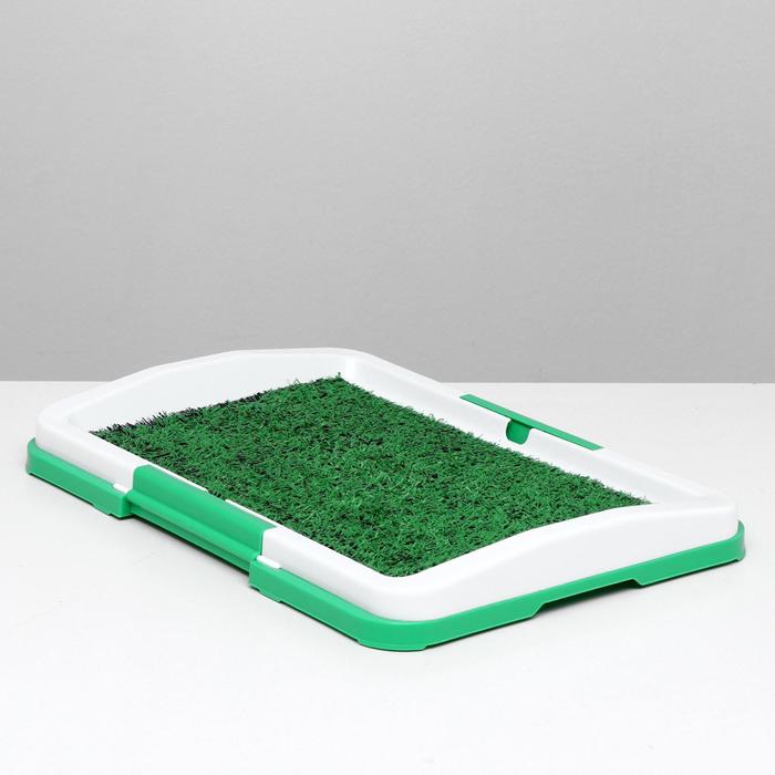 Туалет "Травка" для щенков и собак, 47 х 34 х 4 см (без картонной коробки)
Туалет "Травка" для щенков и собак, 47 х 34 х 4 см (без картонной коробки)