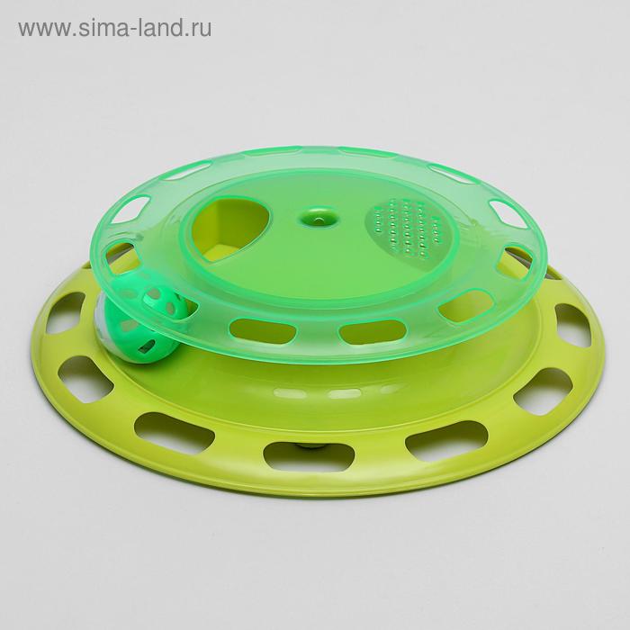 Игровой комплекс для кошек с отсеками для корма и шариком (картоная коробка), микс
Игровой комплекс для кошек с отсеками для корма и шариком (картоная коробка), микс