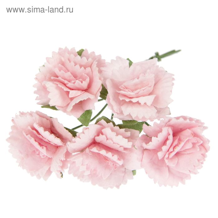 Гвоздики, набор 5 шт, диам 2,5 см, нежно-розовые
Гвоздики, набор 5 шт, диам 2,5 см, нежно-розовые