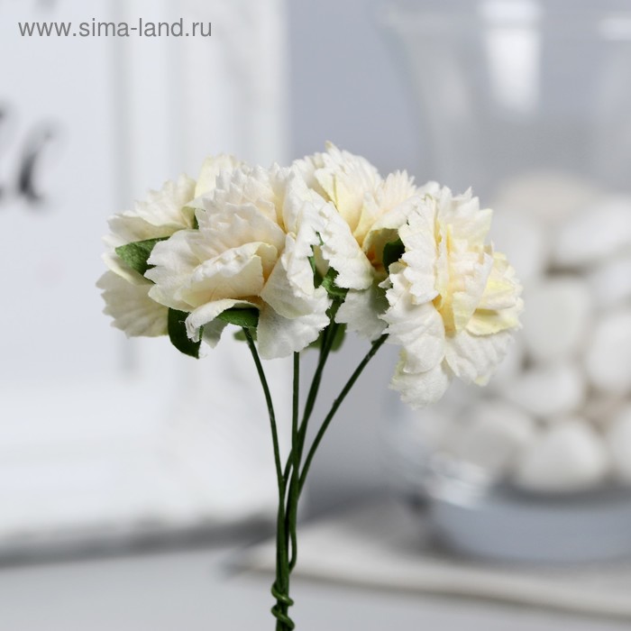 Гвоздики, набор 5 шт, диам 2,5 см, белые
Гвоздики, набор 5 шт, диам 2,5 см, белые