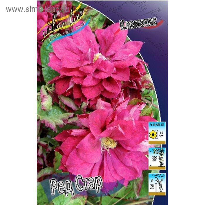 Клематис РЕД СТАР МАХРОВЫЙ высота 200см, Ø10-15см р-р I, 2 шт
Клематис РЕД СТАР МАХРОВЫЙ высота 200см, Ø10-15см р-р I, 2 шт