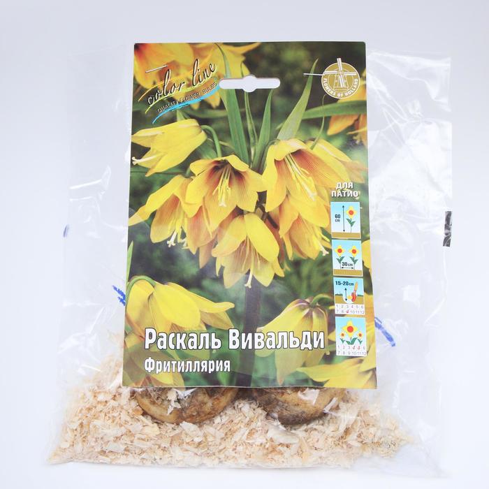 Фритиллярия Раскаль Вивальди р-р 14/16, 2 шт
Фритиллярия Раскаль Вивальди р-р 14/16, 2 шт