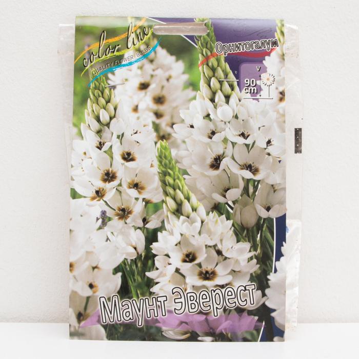 ОРНИТОГАЛУМ МАУНТ ЭВЕРЕСТ р-р 5/6, 10 шт
ОРНИТОГАЛУМ МАУНТ ЭВЕРЕСТ р-р 5/6, 10 шт