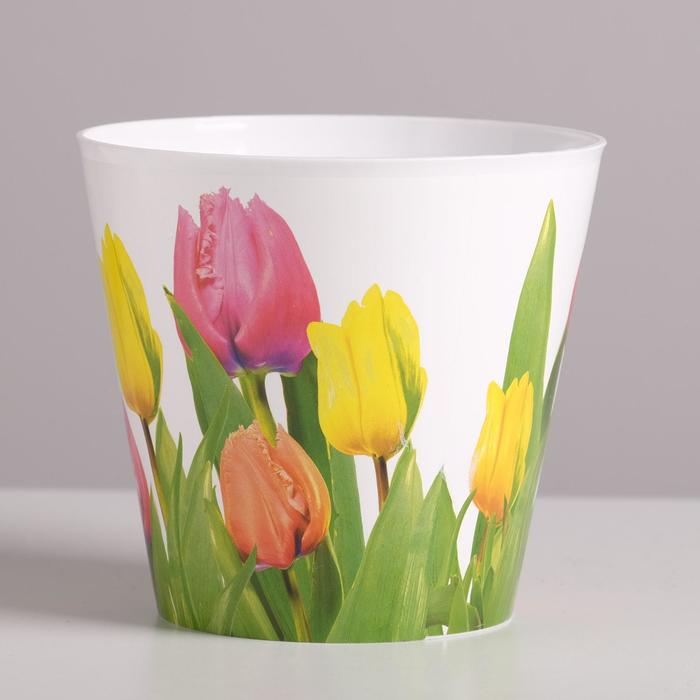Кашпо «Тюльпаны», 0,8 л, 11 х 12 см
Кашпо «Тюльпаны», 0,8 л, 11 х 12 см