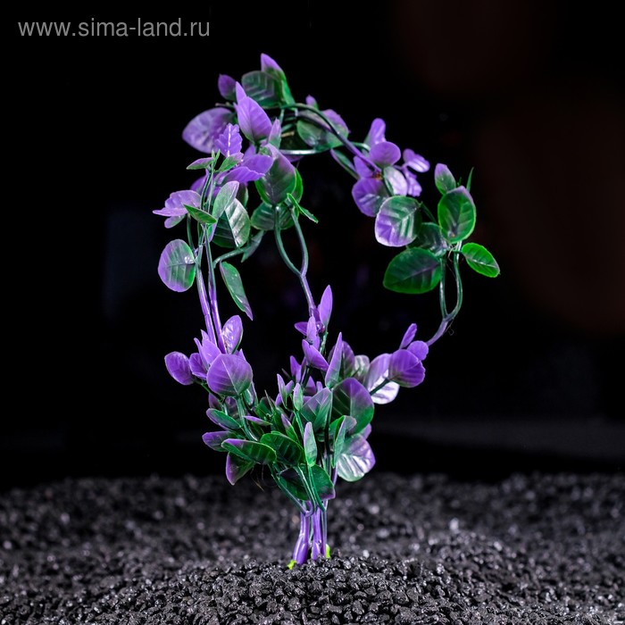 Растение искусственное аквариумное, 25 см, микс цветов
Растение искусственное аквариумное, 25 см, микс цветов