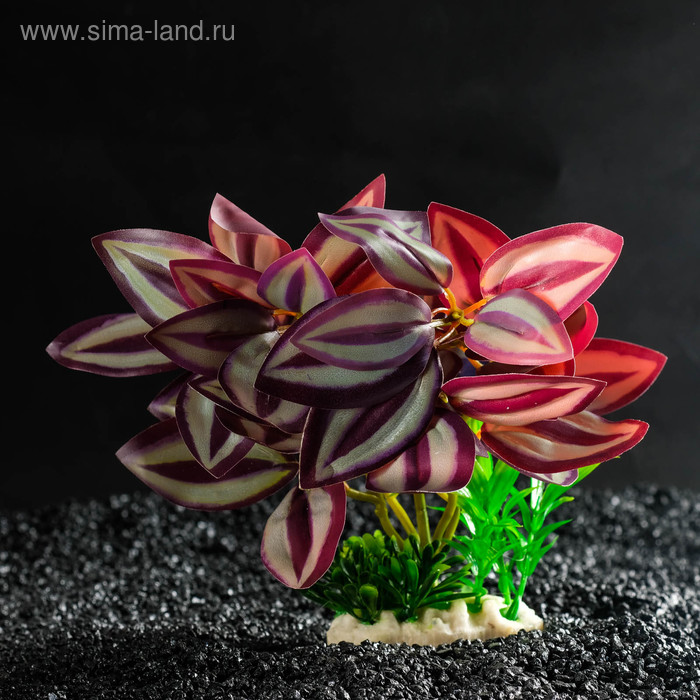 Островок с растениями искусственными для аквариума, 20 х 20 х 26 см
Островок с растениями искусственными для аквариума, 20 х 20 х 26 см