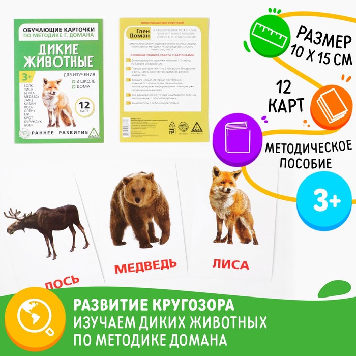Обучающие карточки по методике Г. Домана «Дикие животные», 12 карт, А6
Обучающие карточки по методике Г. Домана «Дикие животные», 12 карт, А6