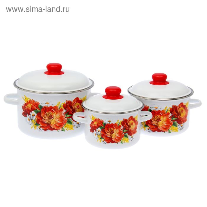 Набор кастрюль «Пионы», 3 предмета: 2 л, 3 л, 5,5 л, цвет белый
Набор кастрюль «Пионы», 3 предмета: 2 л, 3 л, 5,5 л, цвет белый