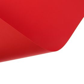 Картон цветной Sadipal Sirio двусторонний: текстурный/гладкий, 700 х 500 мм, Sadipal Fabriano Elle Erre, 220 г/м, красный
Картон цветной Sadipal Sirio двусторонний: текстурный/гладкий, 700 х 500 мм, Sadipal Fabriano Elle Erre, 220 г/м, красный
