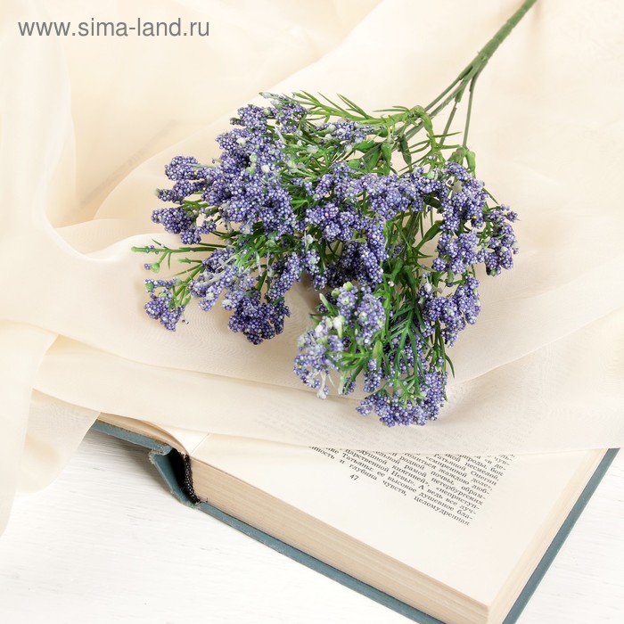 Букет "Белянка" 32 см микс
Букет "Белянка" 32 см микс