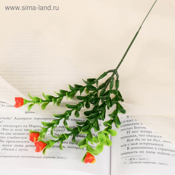 Букет "Колокольчики" 20 см (цена за 1веточку, в пучке 6шт) микс
Букет "Колокольчики" 20 см (цена за 1веточку, в пучке 6шт) микс