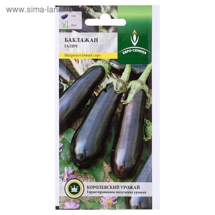 Семена Баклажан "Евро-семена", "Галич", 0,4 г
Семена Баклажан "Евро-семена", "Галич", 0,4 г