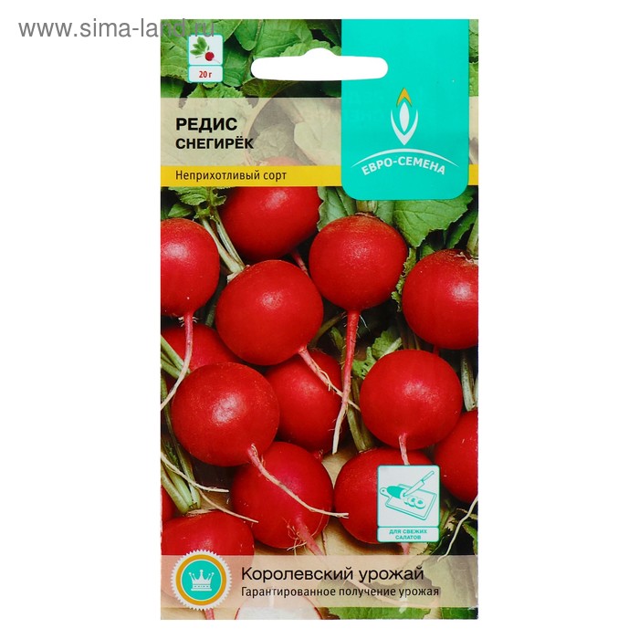 Семена Редис "Снегирек", 2 г
Семена Редис "Снегирек", 2 г