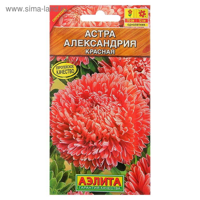 Семена цветов Астра "Александрия" красная, О, 0,1 г
Семена цветов Астра "Александрия" красная, О, 0,1 г