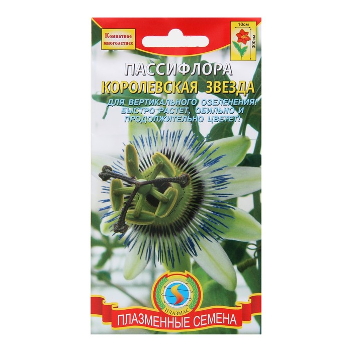 Семена комнатных цветов Пассифлора "Королевская звезда", Мн., 5 шт
Семена комнатных цветов Пассифлора "Королевская звезда", Мн., 5 шт