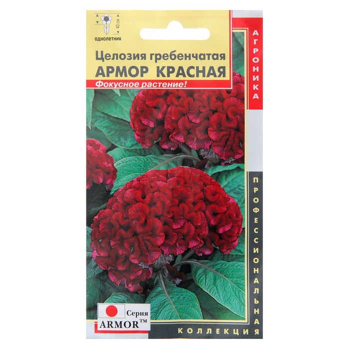 Семена цветов Целозия гребенчатая "Красная", О, 10 шт
Семена цветов Целозия гребенчатая "Красная", О, 10 шт