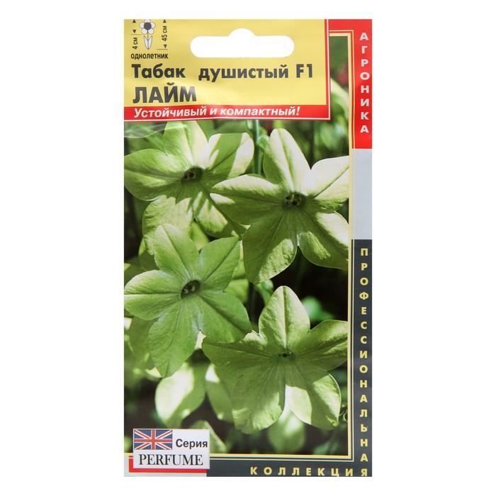 Семена цветов Табак душистый F1 "Лайм", 5 шт
Семена цветов Табак душистый F1 "Лайм", 5 шт