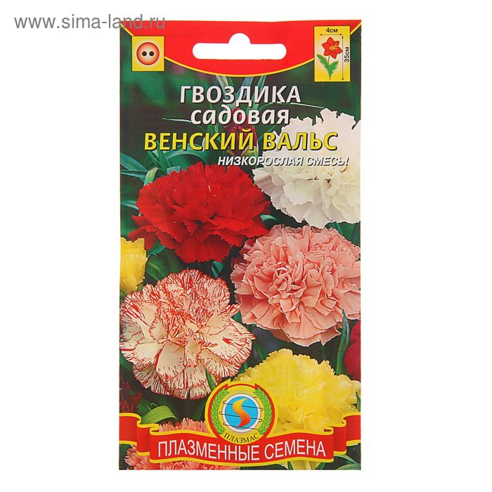 Семена цветов Гвоздика "Плазмас", "Венский вальс", турецкая, 0,1 г
Семена цветов Гвоздика "Плазмас", "Венский вальс", турецкая, 0,1 г
