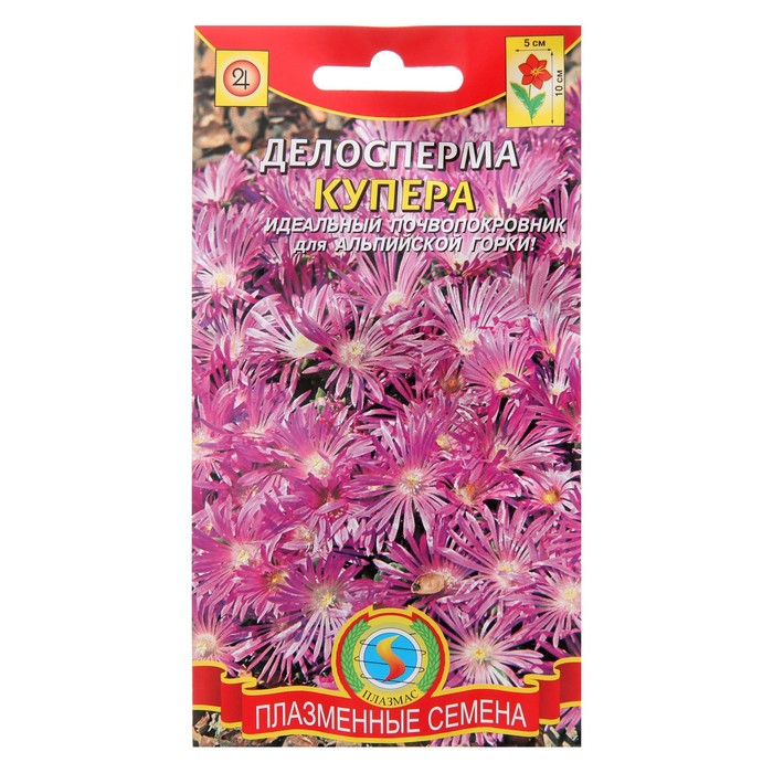 Семена цветов Делосперма "Купера", 10 шт.
Семена цветов Делосперма "Купера", 10 шт.