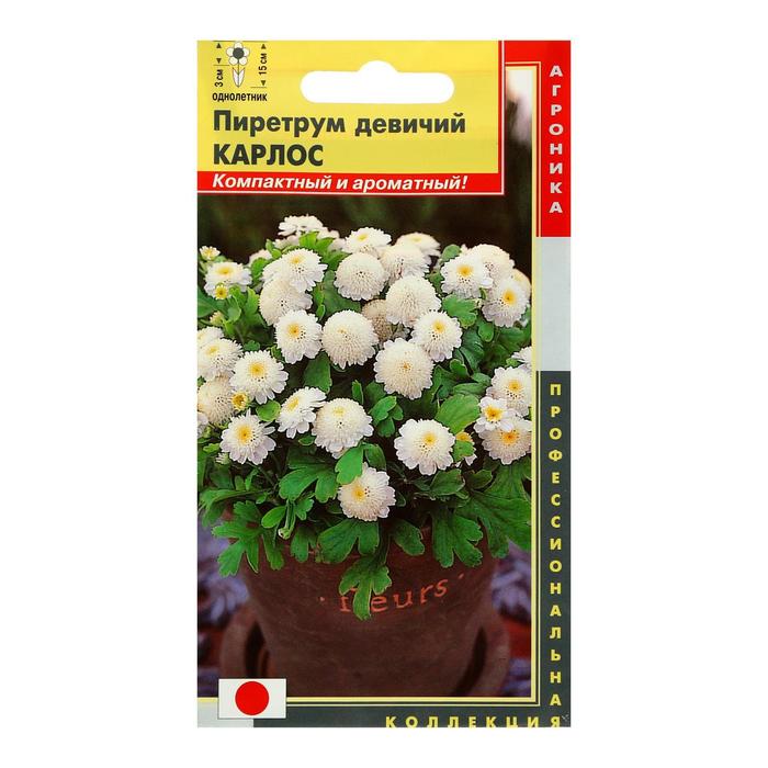 Семена цветов "Агроника" Пиретрум девичий "Карлос", О, 10 шт
Семена цветов "Агроника" Пиретрум девичий "Карлос", О, 10 шт