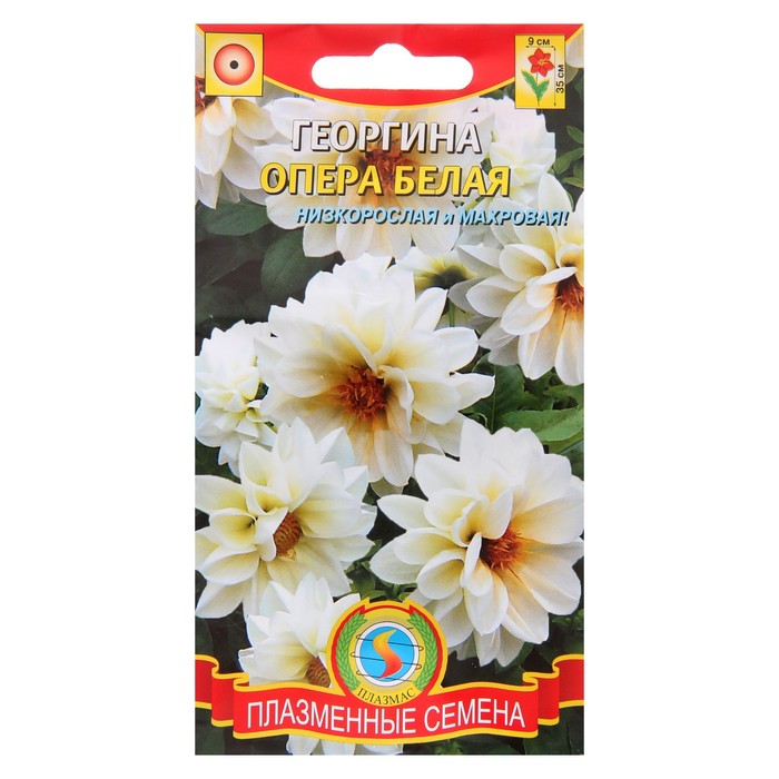 Семена цветов Георгина "Опера" белая, О, 10 шт
Семена цветов Георгина "Опера" белая, О, 10 шт