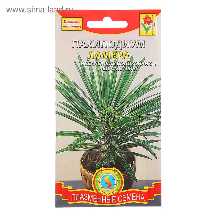 Семена цветов Пахиподиум Ламера, 3шт
Семена цветов Пахиподиум Ламера, 3шт