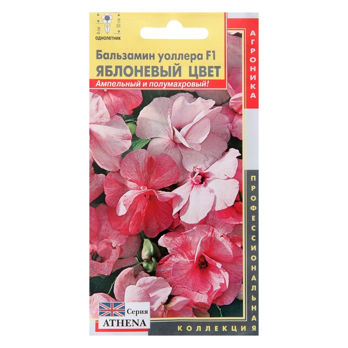 Семена цветов Бальзамин Уоллера F1 "Яблоневый цвет ", О, 5шт
Семена цветов Бальзамин Уоллера F1 "Яблоневый цвет ", О, 5шт