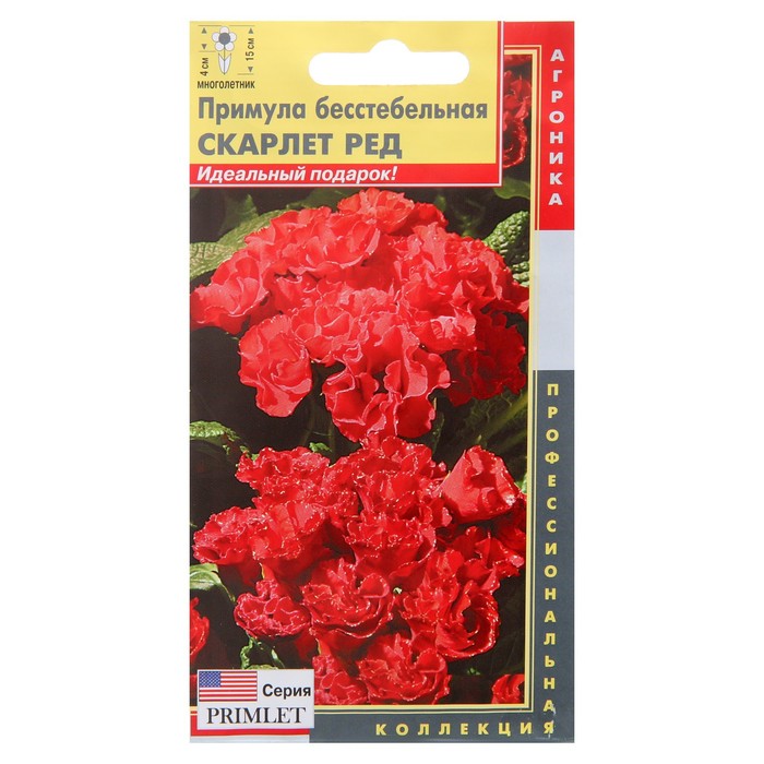 Семена цветов Примула бесстебельная "Скарлет Ред", 5 шт.
Семена цветов Примула бесстебельная "Скарлет Ред", 5 шт.