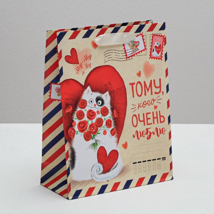 Пакет ламинированный вертикальный «Почта любви», MS 18 × 23 × 8 см
Пакет ламинированный вертикальный «Почта любви», MS 18 × 23 × 8 см