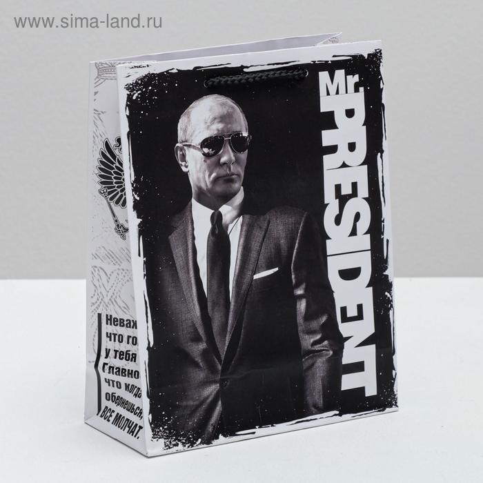 Пакет ламинированный вертикальный Mr. President, MS 18 × 23 × 8 см 
Пакет ламинированный вертикальный Mr. President, MS 18 × 23 × 8 см