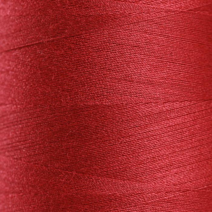 Нитки 50/2, №140, 5000 м, цвет бордовый №1122
Нитки 50/2, №140, 5000 м, цвет бордовый №1122