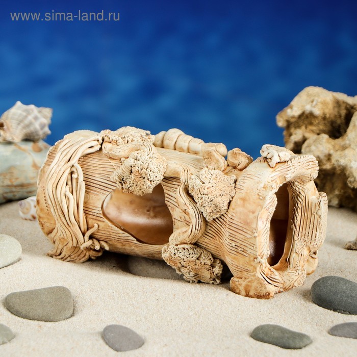 Декорация для аквариума "Сомятник", 7 см × 14 см × 8 см
Декорация для аквариума "Сомятник", 7 см × 14 см × 8 см