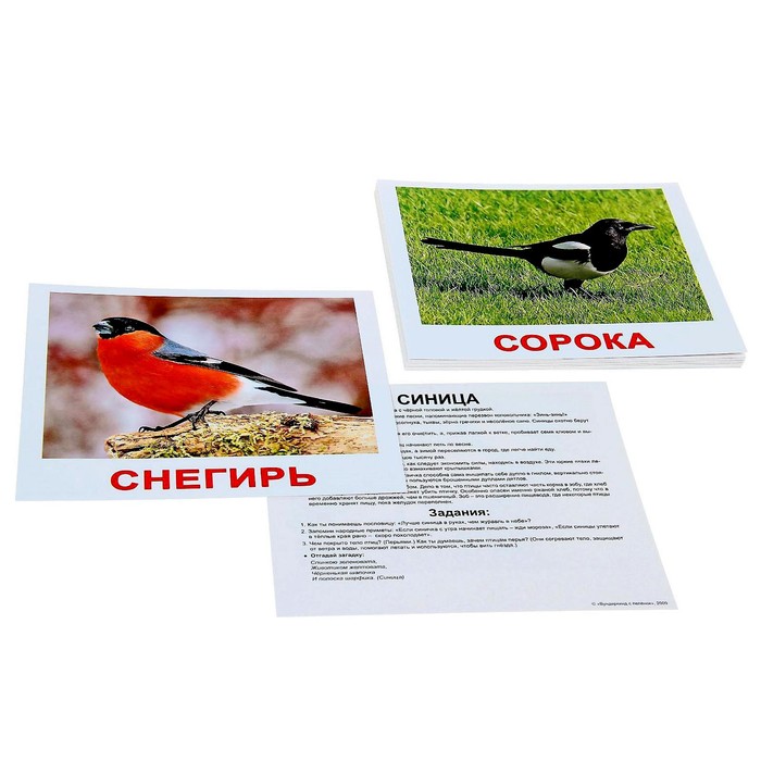 Обучающие карточки «Птицы»
Обучающие карточки «Птицы»