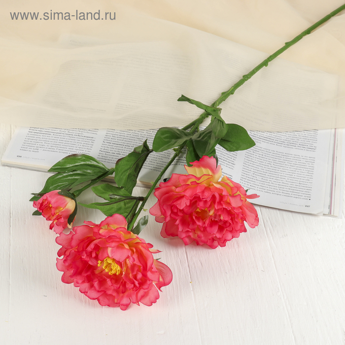 Цветы искусственные "Пышные бутоны" 10*70 см, розовый
Цветы искусственные "Пышные бутоны" 10*70 см, розовый