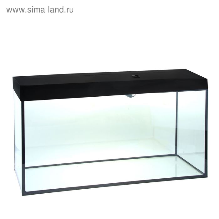 Аквариум прямоугольный с крышкой, 400 литров, 145 х 50 х 55/62 см, чёрный
Аквариум прямоугольный с крышкой, 400 литров, 145 х 50 х 55/62 см, чёрный