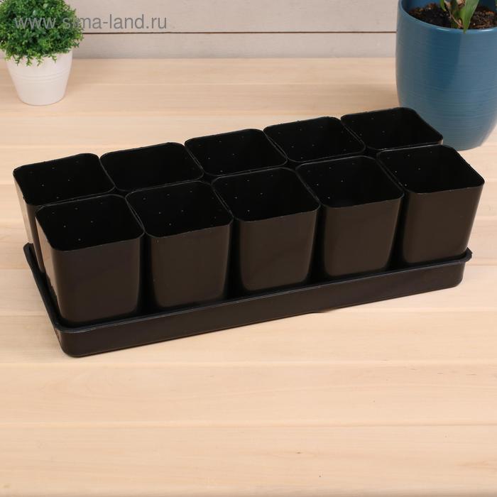Набор для рассады: стаканы по 800 мл (10 шт.), поддон 45 × 18 см 
Набор для рассады: стаканы по 800 мл (10 шт.), поддон 45 × 18 см