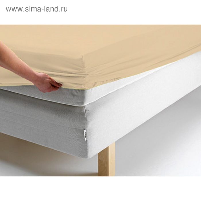 Простыня на резинке, размер 160х200х20 см, цвет персиковый
Простыня на резинке, размер 160х200х20 см, цвет персиковый