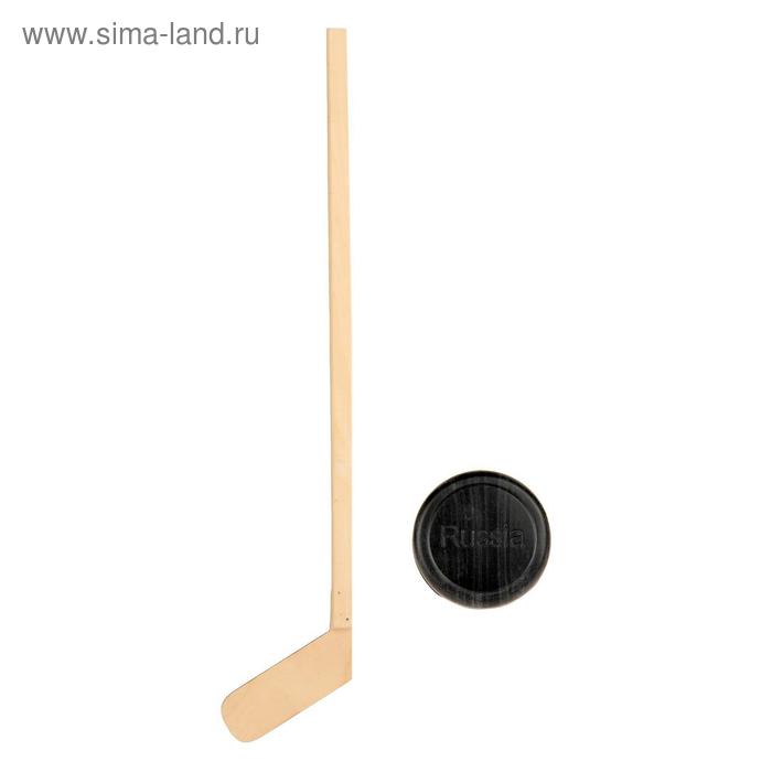 Клюшка с шайбой
Клюшка с шайбой